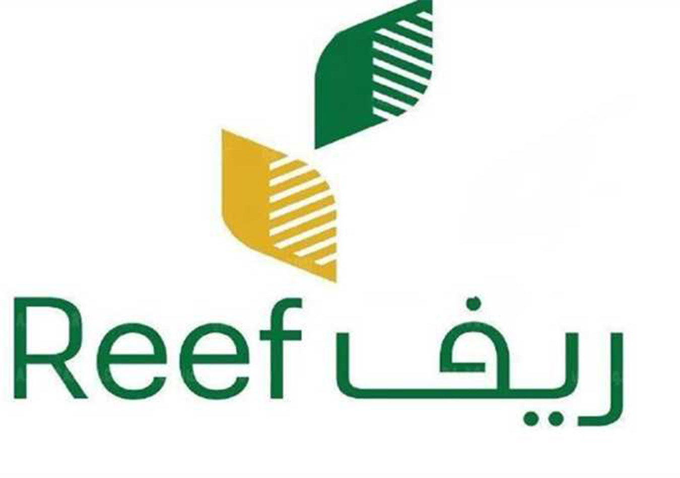 بالرابط والخطوات.. استعلام دعم ريف للعاطلين والمتقاعدين وربات المنزل