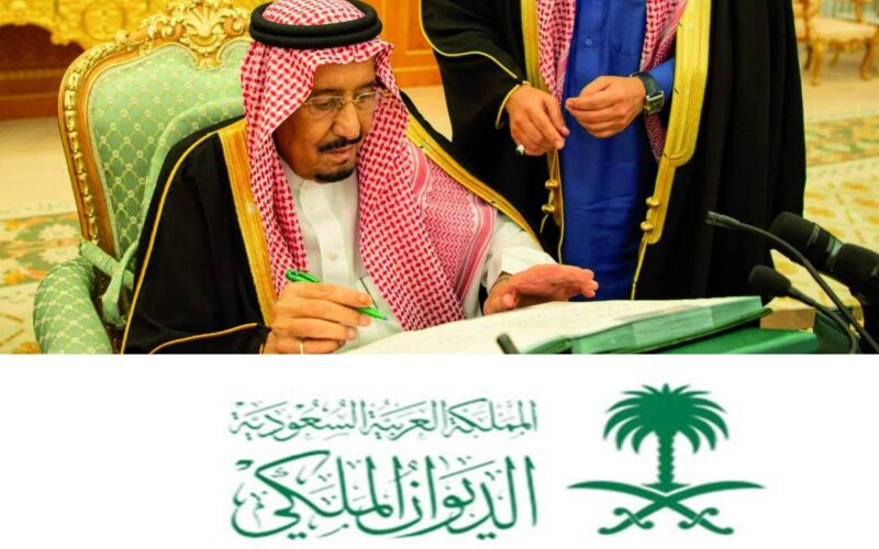 طريقة طلب مساعدة مالية من الديوان الوطني.. الشروط والمستندات المطلوبة