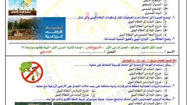 تقييمات الاسبوع الثامن ثانية ثانوي