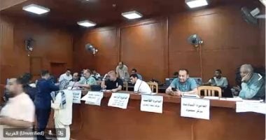 بدء تصويت المصريين بالإمارات لليوم الثاني في انتخابات مجلس النواب 2025