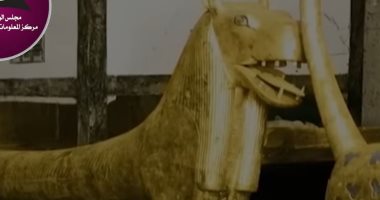 «المـوت يضرب بجناحيه كلَّ من يُعكِّر صفو الملك».. حقيقة لعنة المومياء