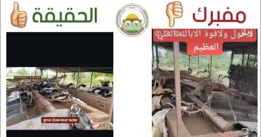 وزارة الزراعة تنفي صحة فيديو حالات نفوق الماشية: مزيف ومنسوب لدولة أخرى