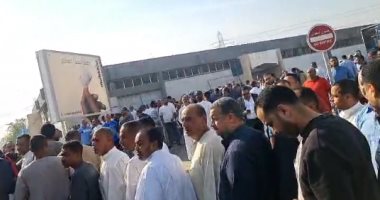 المصريون بالخارج يتوافدون بكثافة على انتخابات النواب أول أيام التصويت