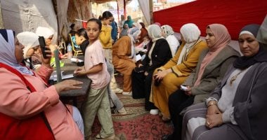 الهيئة الوطنية للانتخابات: إصابة قاضية بسوهاج بحالة إعياء واستبدالها بآخر