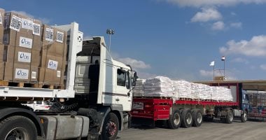 دخول قافلة مساعدات إنسانية تضم 194 شاحنة إلى غزة عبر معبر رفح