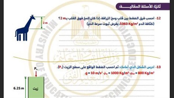 تقييمات الاسبوع التاسع ثانية ثانوي