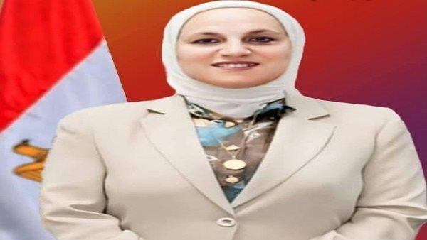 تعليم القاهرة