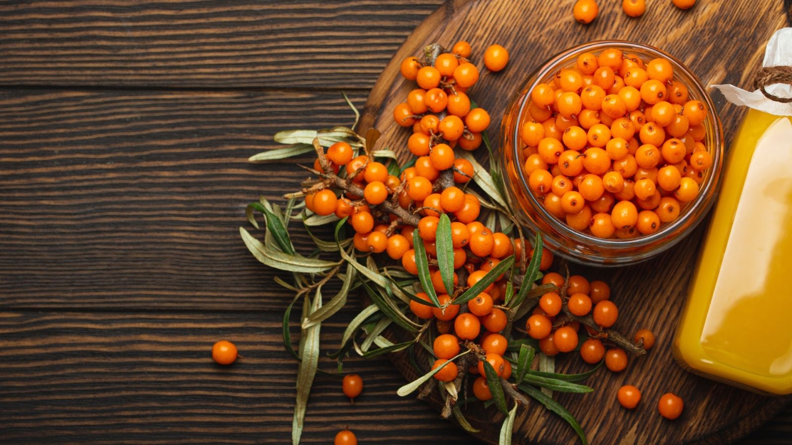 فاكهة النبق البحري: الفوائد، طريقة الاستخدام