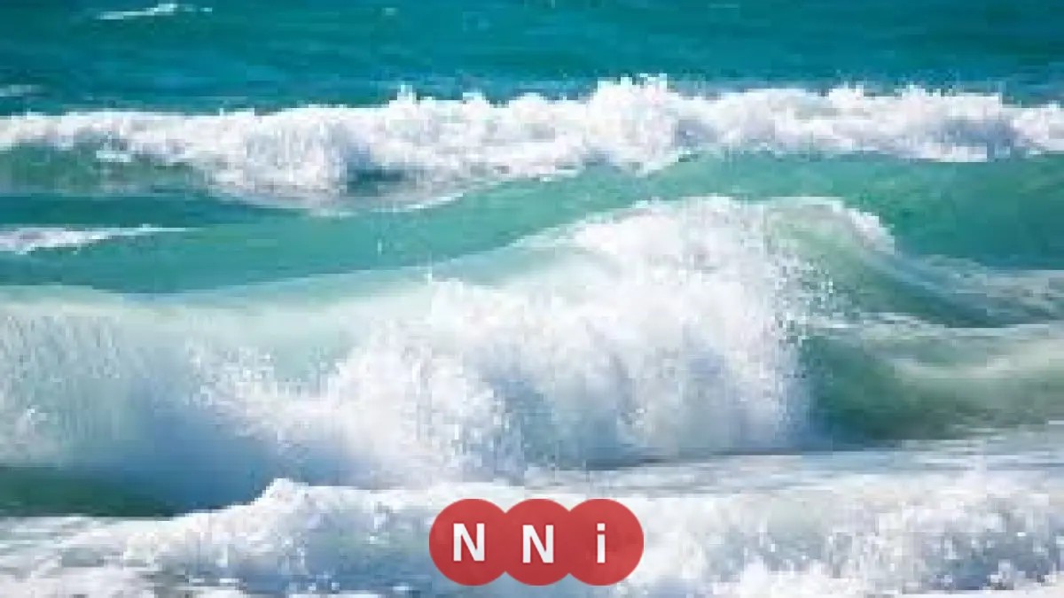 6 حالات وفاة و24 مصاباً.. التفاصيل الكاملة لحادث غرق طلاب في الإسكندرية