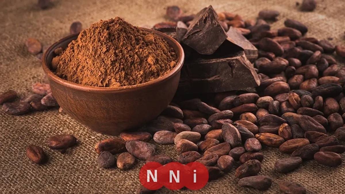 ارتفاع أسعار الكاكاو عالميًا بنسبة 5٪ مع تزايد المخاوف حول المحاصيل