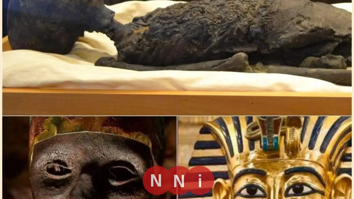 زاهي حواس يكشف لغز مقتل توت عنخ آمون