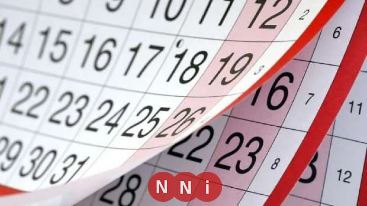 اكتشف مع افتتاح المتحف المصري الكبير.. هل تضيف 2025 مزيدًا من العطلات الرسمية؟