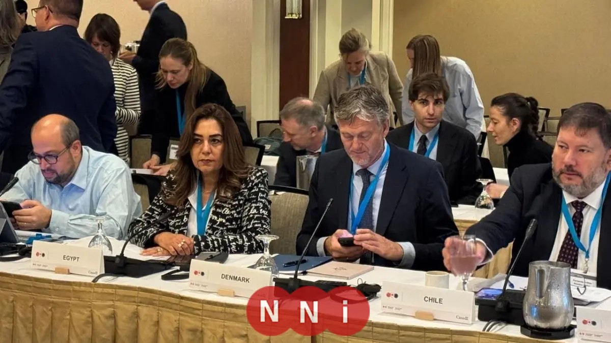 التنمية المحلية تكشف عن تقدم مصر في تحقيق أهداف المناخ