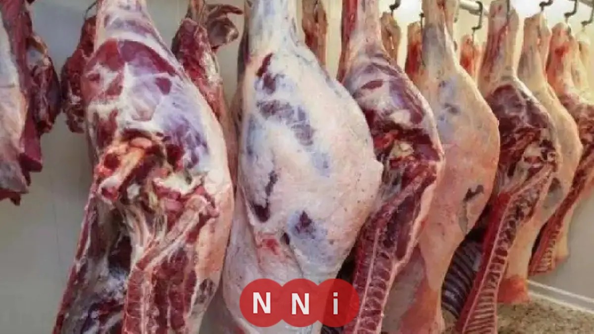 تعرف على أسعار اللحوم الحمراء اليوم السبت 8 نوفمبر 2025 في الأسواق