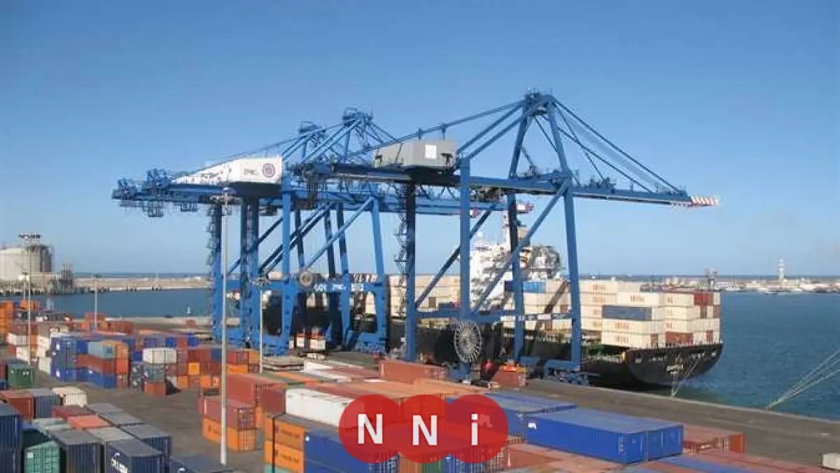 ميناء دمياط يستقبل 29 سفينة في يوم واحد