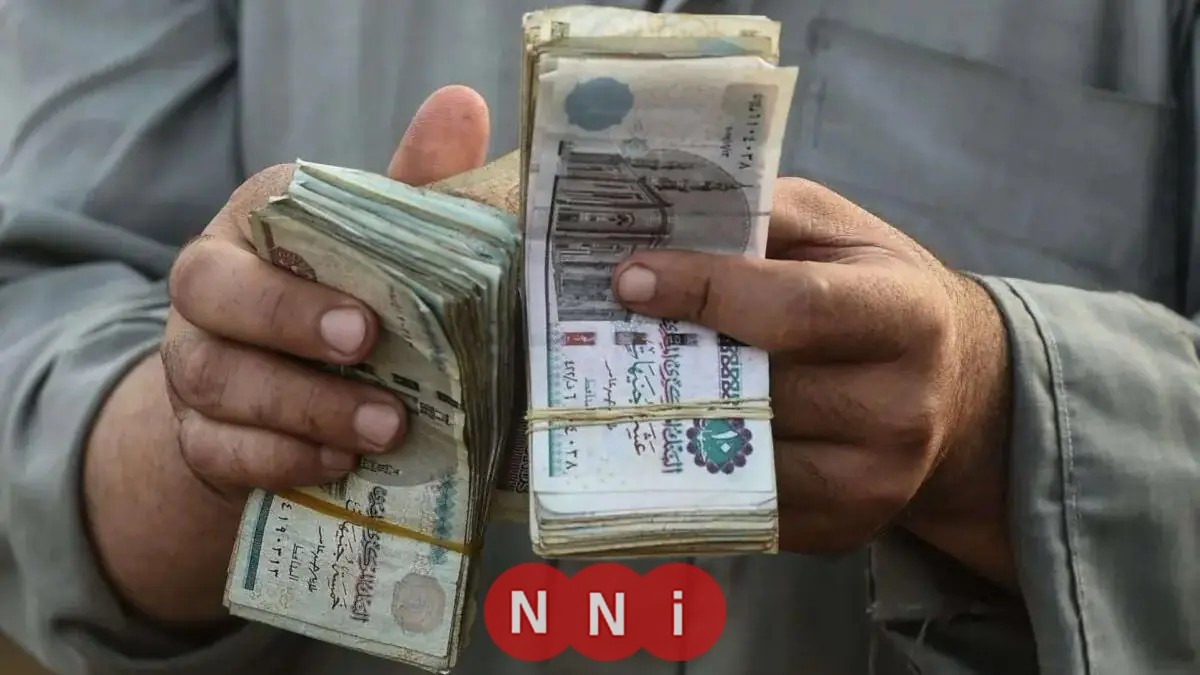 كيفية الاستعلام الإلكتروني عن قيمة قبض معاشات ديسمبر 2025 وخطوات موعد الصرف