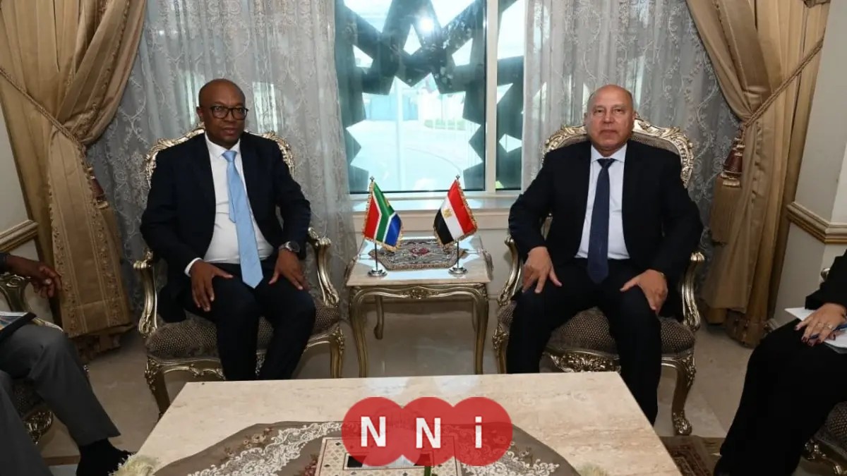 كامل الوزير يجتمع بوزير الصناعة الجنوب إفريقي لتعزيز التعاون الاقتصادي