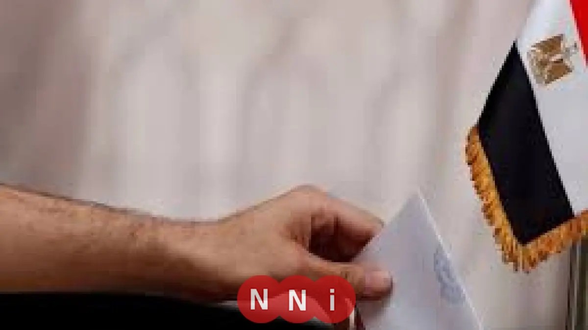 اكتشف نتائج الفرز في انتخابات مجلس النواب بمحافظة دمياط