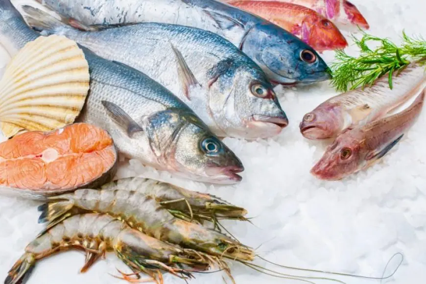 اسعار السمك اليوم البلطي في مصر الاثنين 20 مايو 2024 سوق العبور للاسماك