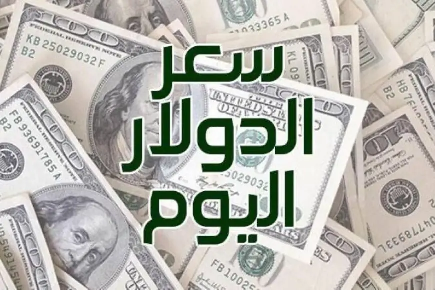 يا ترى الدولار وصل لكام قدام الجنيه؟ شوف سعر الدولار في السوق السوداء النهاردة 9 يوليو 2024