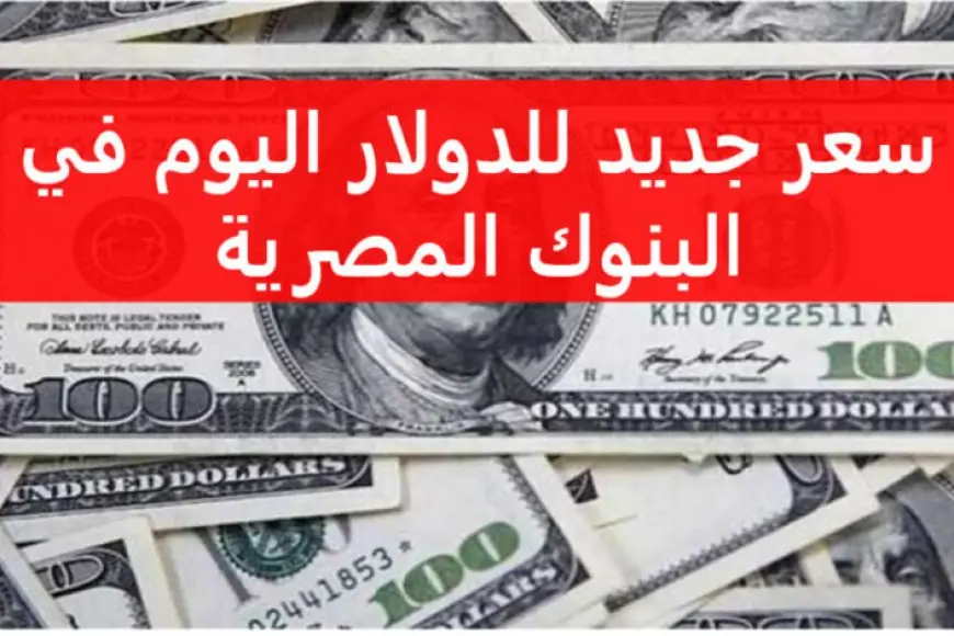الدولار نط ولا نزل؟.. سعر الدولار اليوم مقابل الجنيه المصري دلوقتي في السوق السوداء والبنوك الاحد 21 يوليو 2024