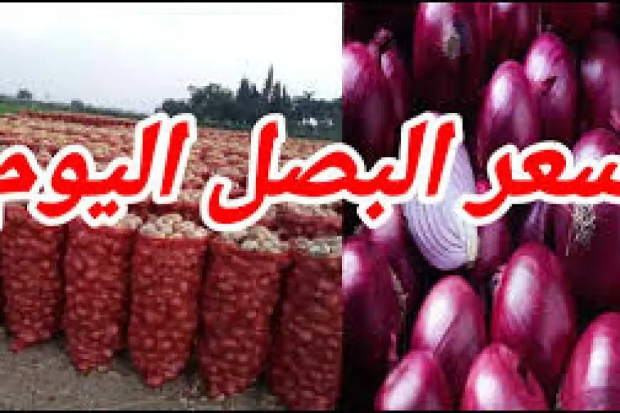 البصل الأحمر بكام النهارده؟.. أسعار البصل الأحمر الجديد اليوم الثلاثاء 9 يوليو 2024 في سوق العبور