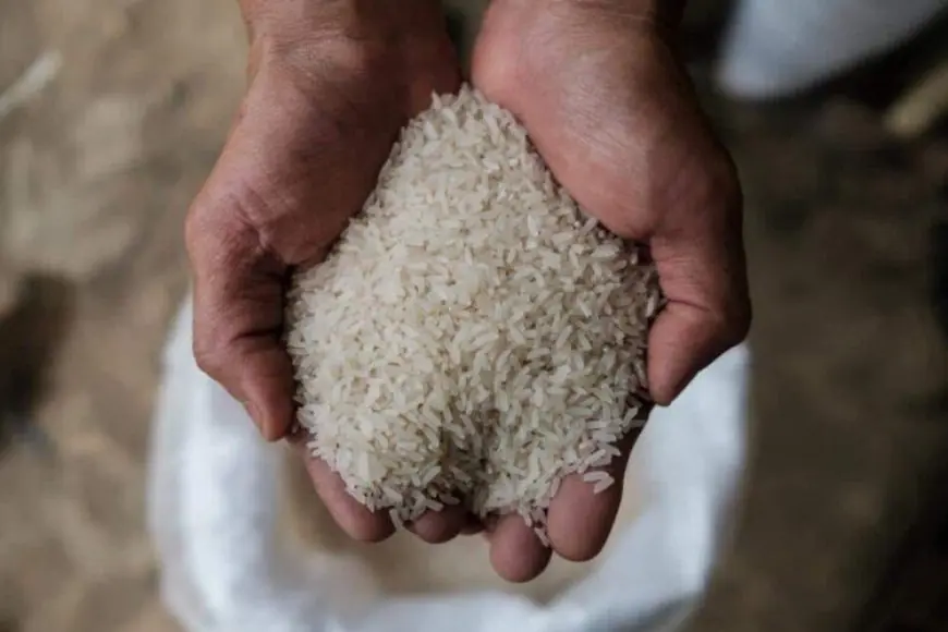 مش هتصدق.. سعر طن الأرز الشعير اليوم 21-7-2024 وأحدث أسعار السلع التموينية من وزارة التموين