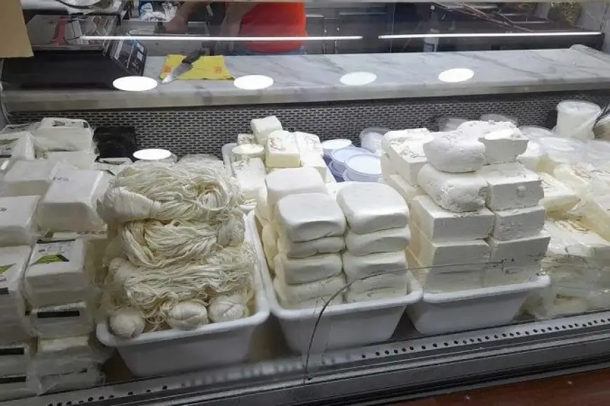 انخفاض ملحوظ في أسعار الألبان.. الجبنة البيضاء تهبط 12 جنيهًا