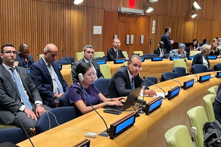 وزير الخارجية: من الضروري إصلاح المؤسسات المالية الدولية