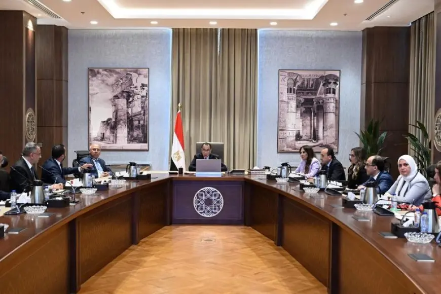 استثمارات تتخطى 116 مليون يورو.. تفاصيل خطة توطين تصنيع السيارات في مصر