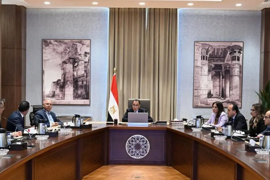 مدبولي يستعرض خطط التوسع في تصنيع السيارات في مصر