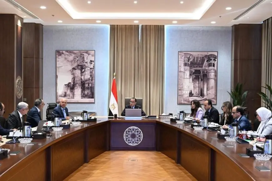 رئيس الوزراء يلتقي مسئولي الشركة المصرية العالمية للسيارات لمتابعة توطين صناعة السيارات بمصر