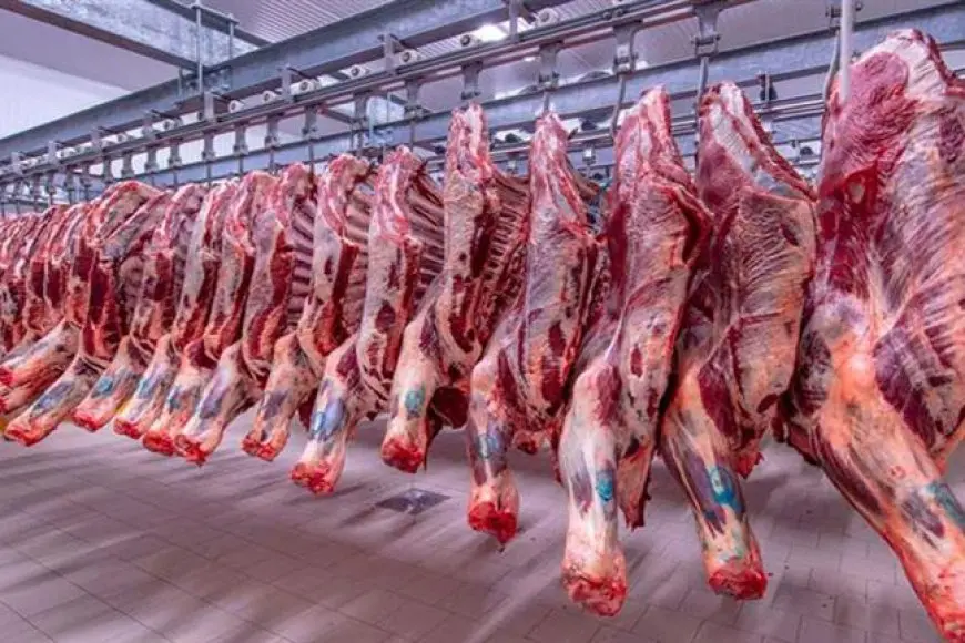 انخفاض الجبن الابيض والزيت وارتفاع اللحوم اليوم الأحد في الأسواق (موقع رسمي)