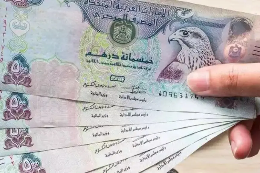 منها الدرهم الإماراتي.. تراجع أسعار 6 عملات عربية أمام الجنيه اليوم الاثنين
