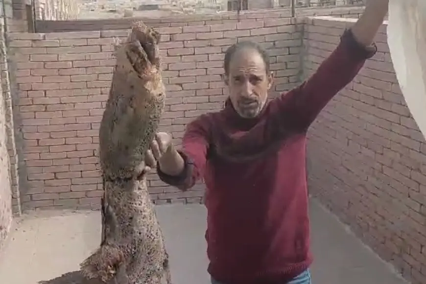 خشب في الأكفان.. أحمد موسى يكشف مفاجآت عن فيديو هدم مقابر العبور