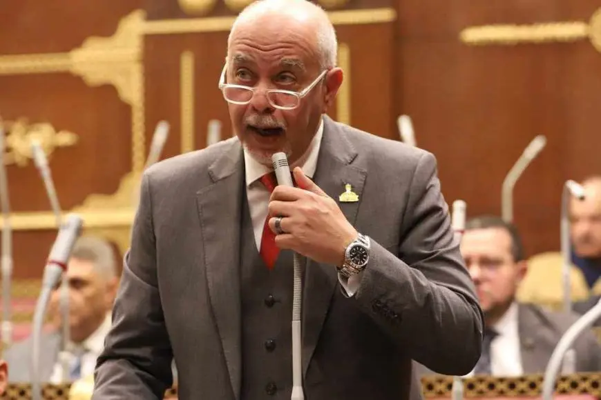 النائب حازم الجندي: القيادة السياسية تواصل ترسيخ حقوق الإنسان كمسار استراتيجي شامل