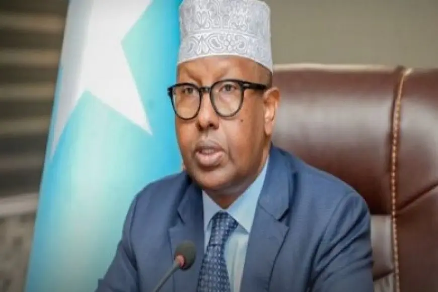 وزير الخارجية الصومالي: نريد التواجد المصري على الصعيد العسكري والسياسي في بلادنا