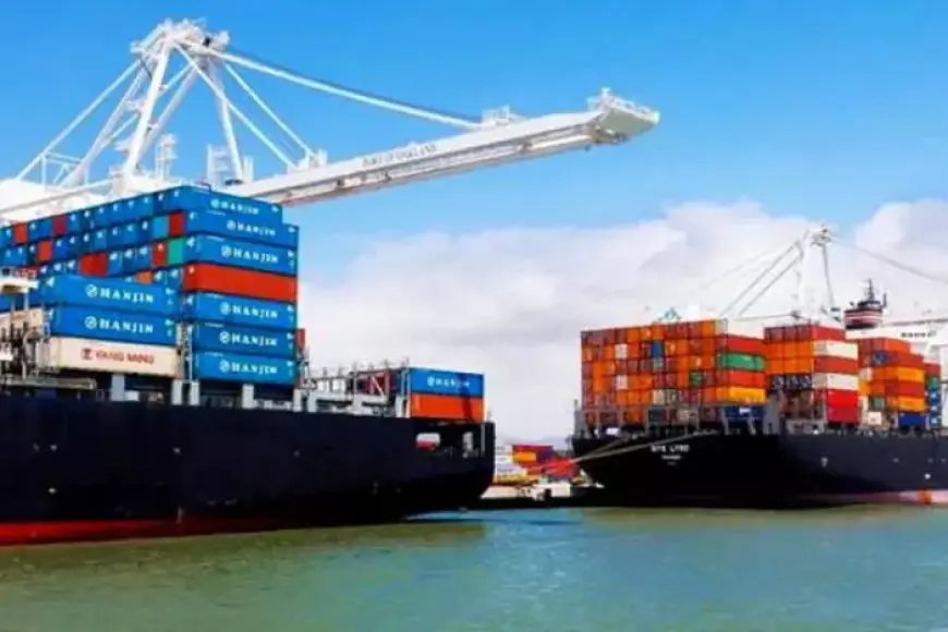 الإحصاءات تشير إلى زيادة قدرها 9.1٪ في صادرات مصر إلى التجمعات الدولية خلال عام 2024