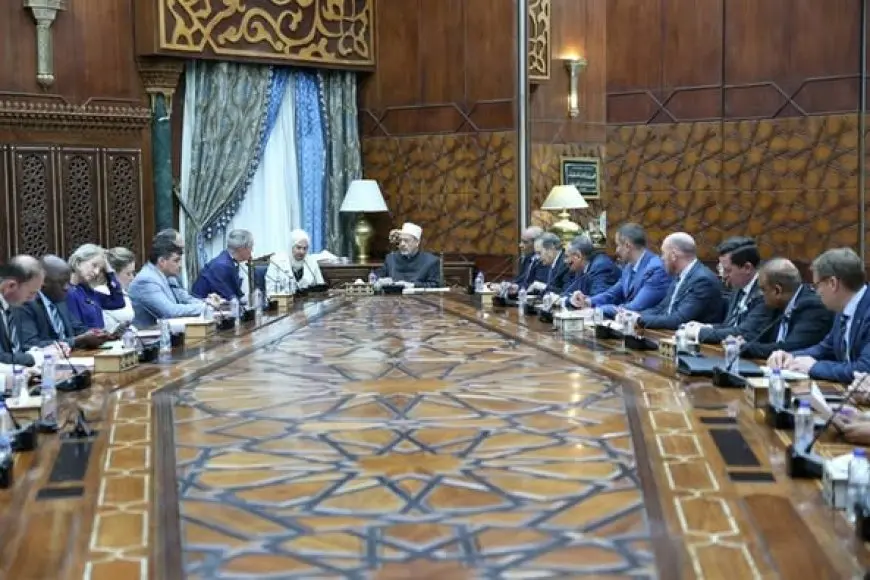 شيخ الأزهر: الأحداث في غزة تعد جرائم وحشية لم نكن نتوقع حدوثها حتى في العصور الوسطى