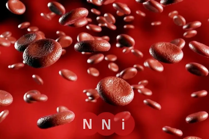 حسام موافي ينبه من علامات الأنيميا.. «تتسبب في 14 سببًا خطيرًا»