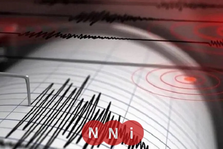 تسجيل هزة أرضية في الجيزة بواسطة الشبكة القومية للزلازل