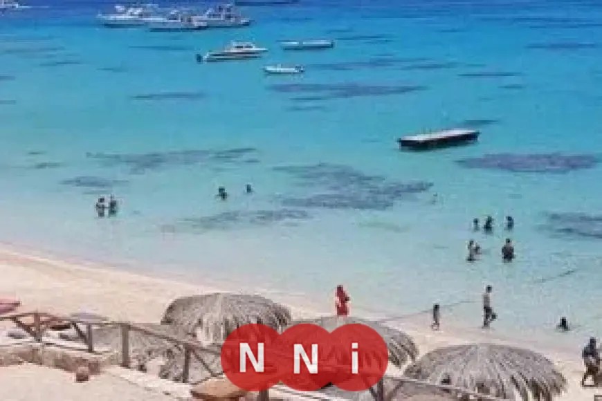 نقابة السياحيين: 76% من السياحة في مصر تعتمد على الشواطئ ونسعى لجذب 30 مليون سائح