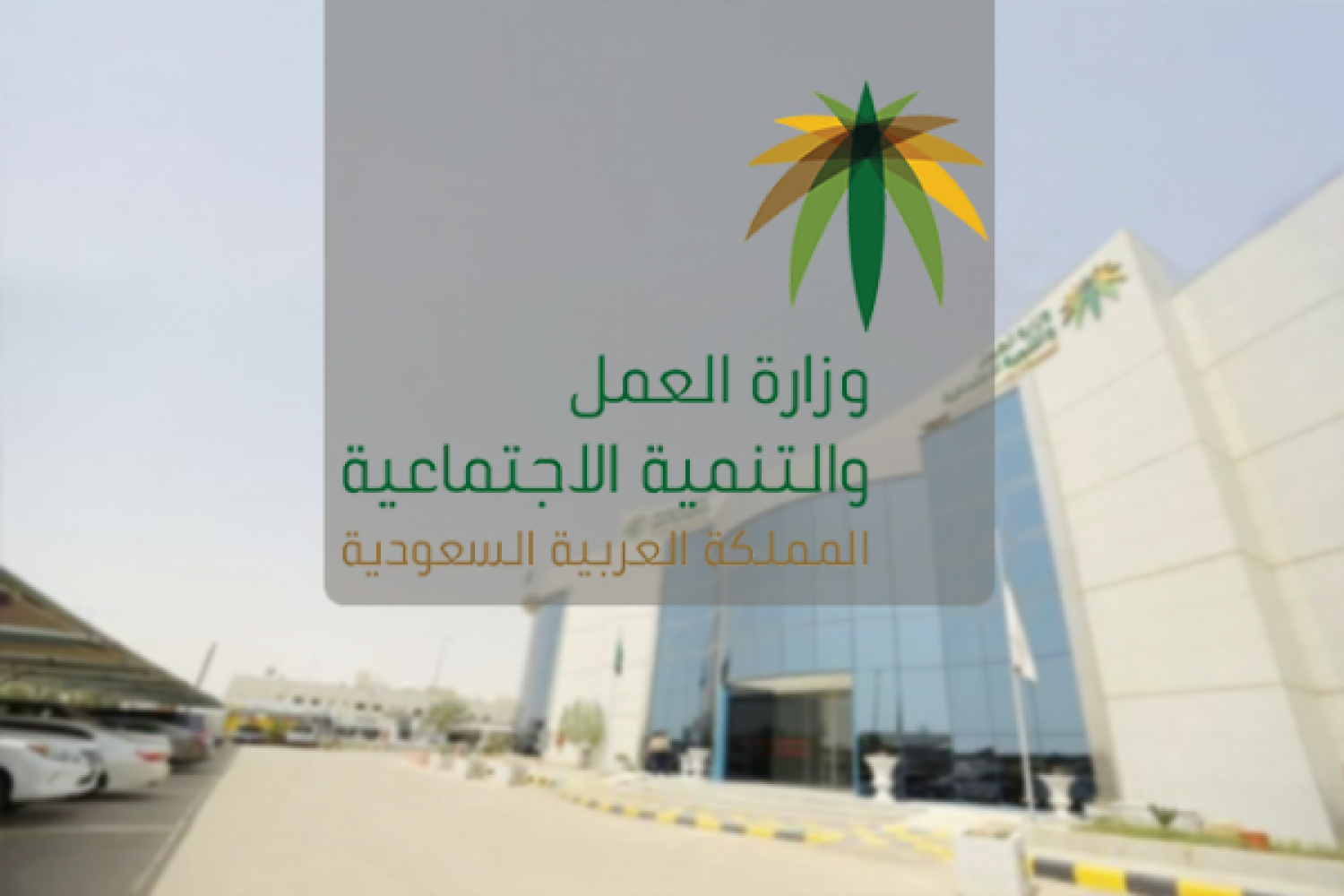 وزارة الموارد البشرية تكشف سر الوثيقة التي تفتح فرص دخل إضافي لآلاف السعوديين