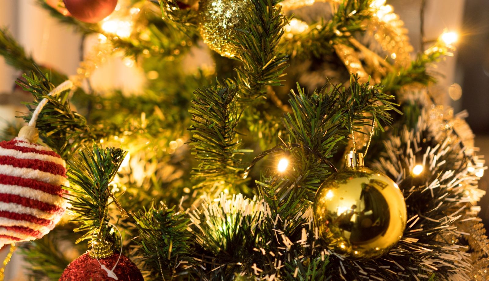 10 معلومات عن أصل شجرة الكريسماس