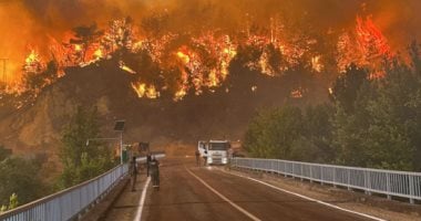 حرائق الغابات تلتهم آلاف الهكتارات بنيو ساوث ويلز الأسترالية.. فيديو