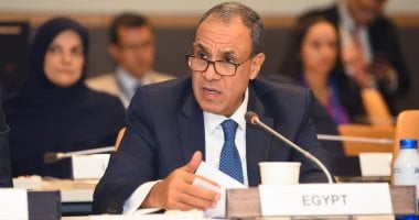 مباحثات مصرية باكستانية لتطوير العلاقات الثنائية بين البلدين