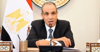 وزير الخارجية يؤكد لميلادينوف رفض مصر القاطع لأي محاولات لتهجير الفلسطينيين