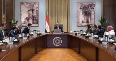 رئيس الوزراء يستعرض المخطط الهيكلى والرؤية التنموية لمنطقة غرب رأس الحكمة