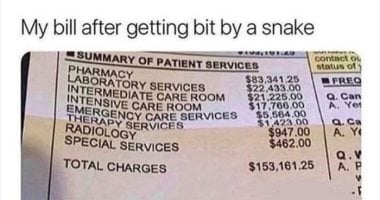 مبلغ صادم.. فاتورة علاج لدغة ثعبان فى الولايات المتحدة تُشعل مواقع التواصل