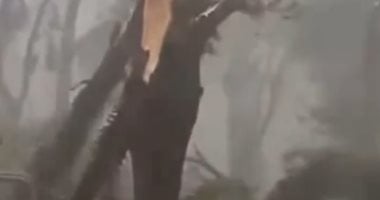 انقطاع الكهرباء عن 4 ملايين شخص فى ساو باولو بالبرازيل.. فيديو